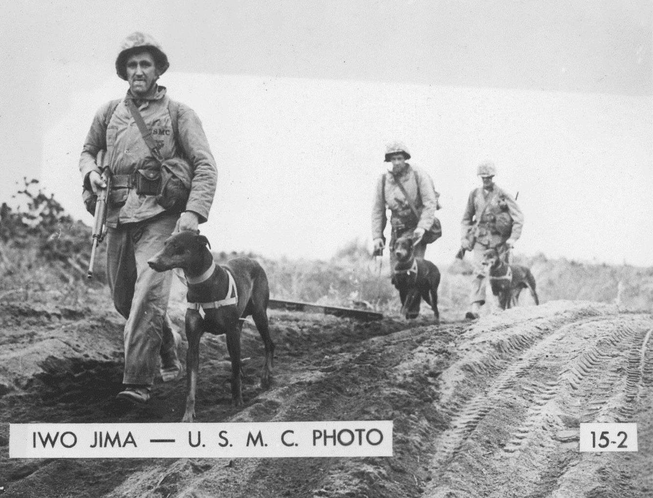 6th War Dog Platoon